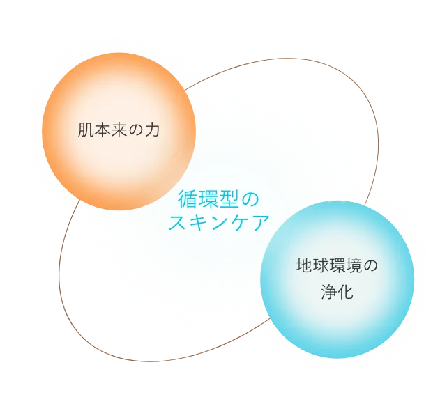 肌本来の力、地球環境の浄化、循環型のスキンケア
